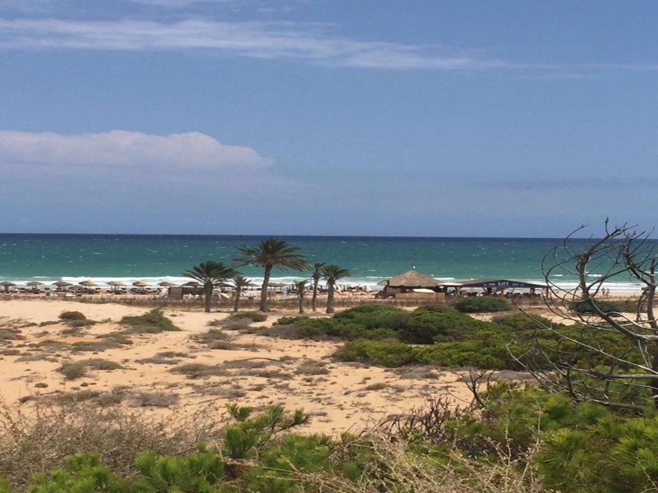 Arenales Del Sol Apartment ภายนอก รูปภาพ